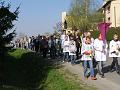 Wlk Pt 11 DK_09